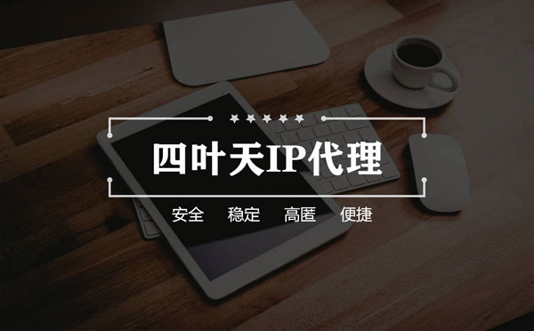 【荆门代理IP】如何快速搭建代理IP？怎么检查代理的效果？